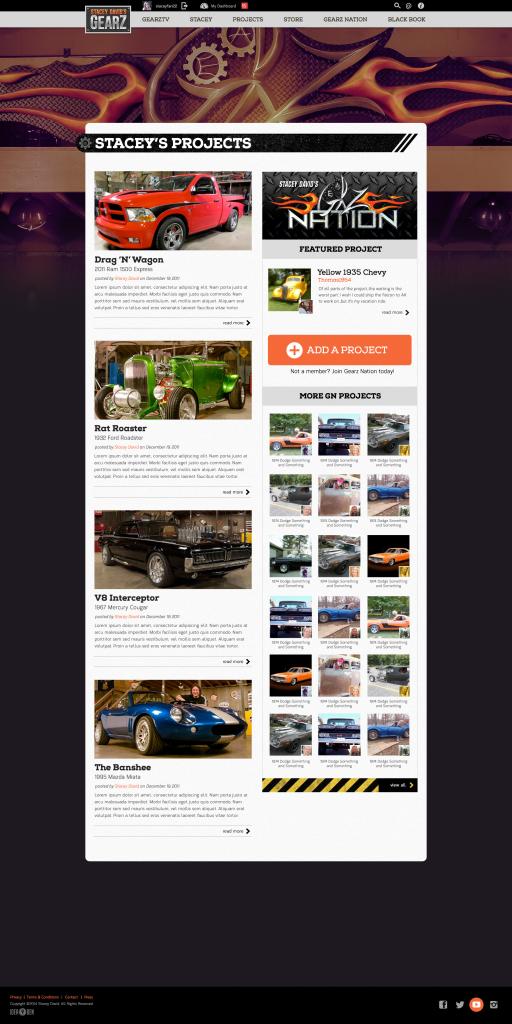 Project pages listed Stacey's official projects as well as user projects. Stacey David projects